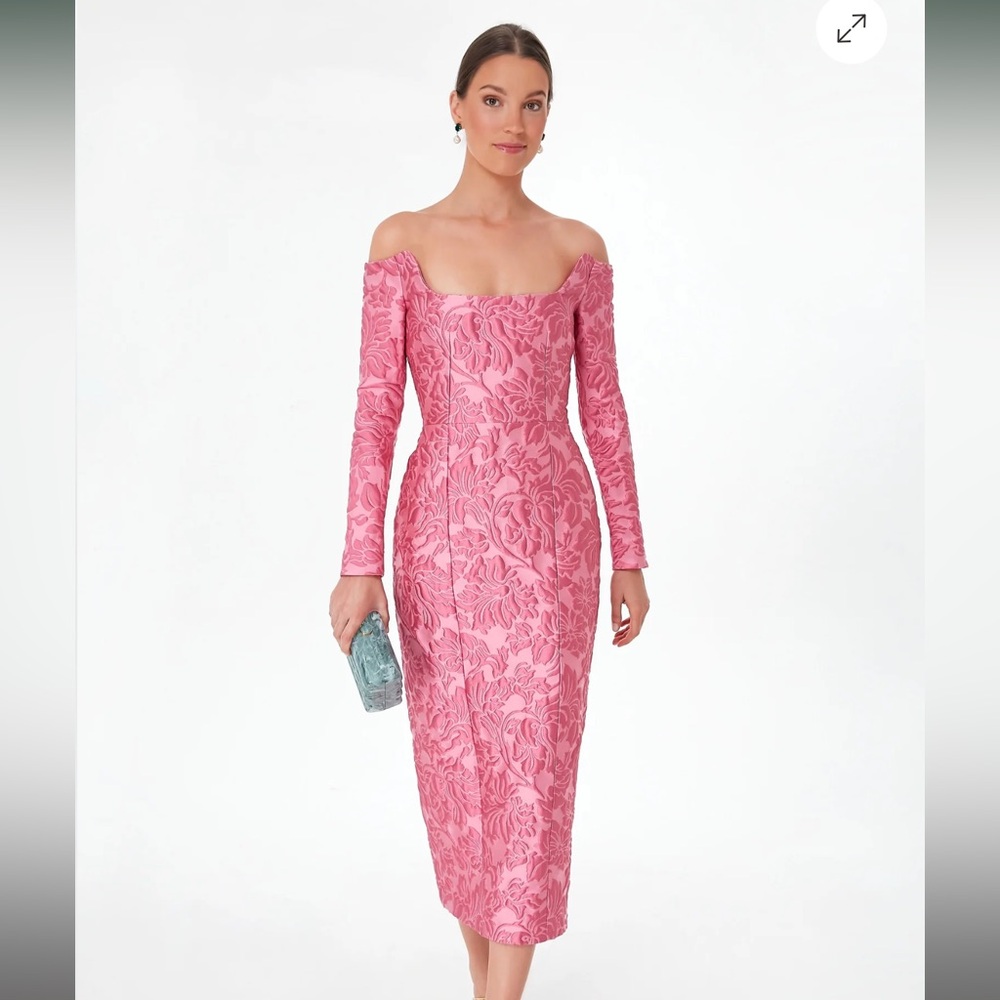 EMILIA WICKSTEAD NWT True Rose Deep Floral Birch Dress Size 14 UK